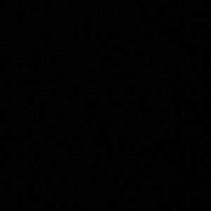 Meet your Posher, Bree